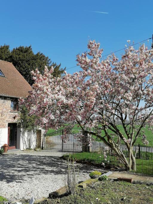 Gite Rural La Ferme Du Semeur-Zaaiershof Lessines Exterior photo
